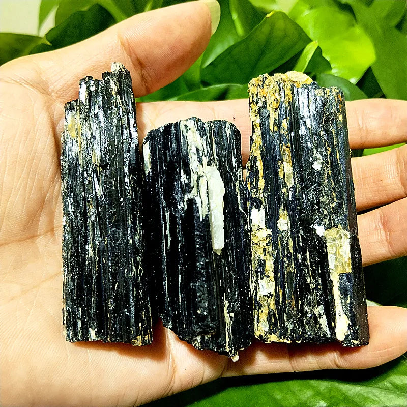 Black Tourmaline Raw Crystal Specimen