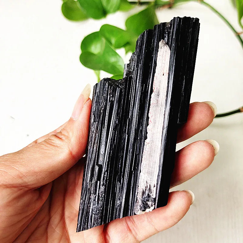 Black Tourmaline Raw Crystal Specimen