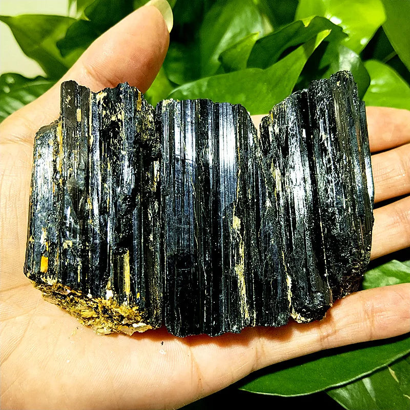 Black Tourmaline Raw Crystal Specimen