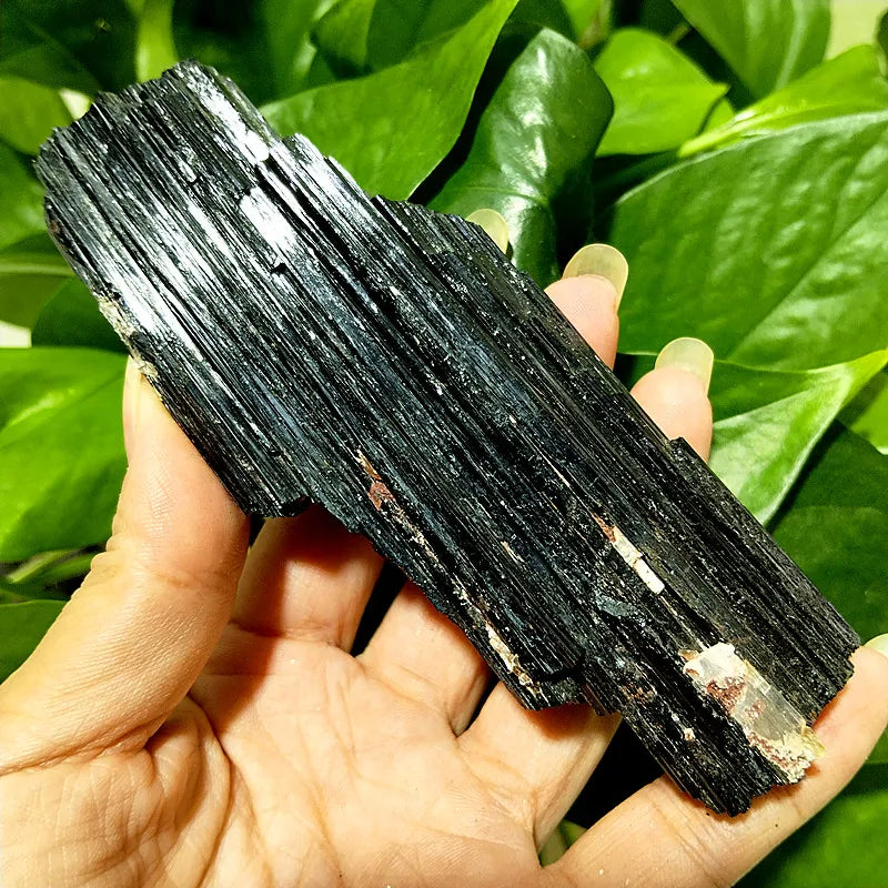 Black Tourmaline Raw Crystal Specimen