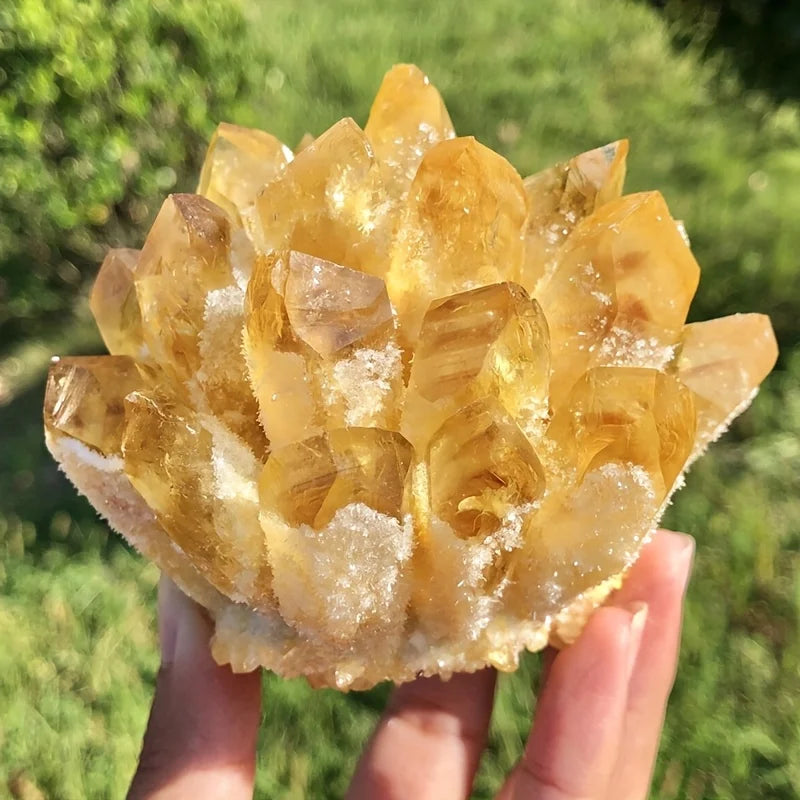 Golden Citrine Crystal Cluster